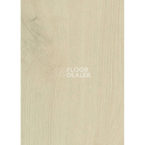 Haro Daily Edition 8 mm 541347 Дуб Альта Светло-Кремовый фото 2 | FLOORDEALER